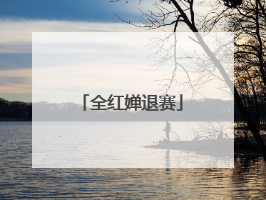 全红婵退赛