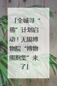 全城寻“熊”计划启动！无锡博物院“博物熊抱集”来了
