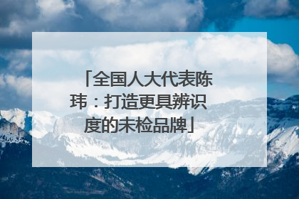全国人大代表陈玮：打造更具辨识度的未检品牌