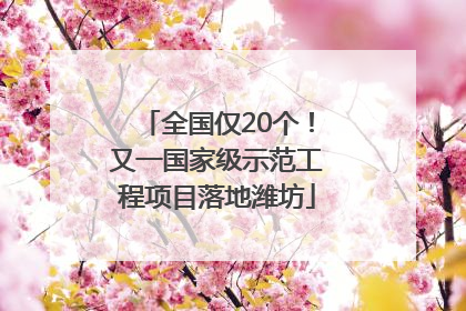 全国仅20个！又一国家级示范工程项目落地潍坊