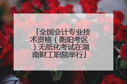 全国会计专业技术资格（衡阳考区）无纸化考试在湖南财工职院举行