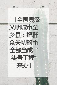 全国县级文明城市金乡县：把群众关切的事全部当成“头号工程”来办