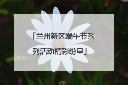 兰州新区端午节系列活动精彩纷呈