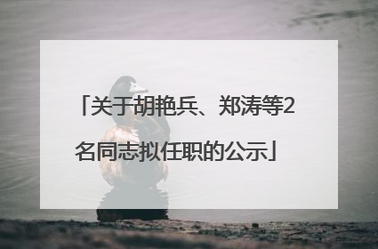 关于胡艳兵、郑涛等2名同志拟任职的公示