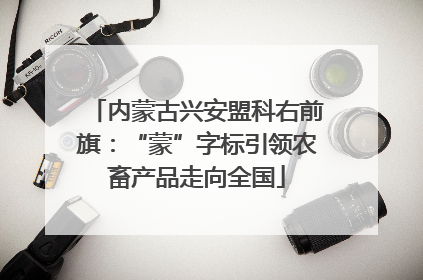 内蒙古兴安盟科右前旗：“蒙”字标引领农畜产品走向全国