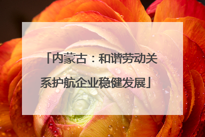 内蒙古：和谐劳动关系护航企业稳健发展