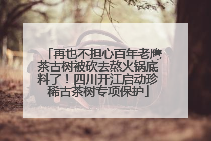 再也不担心百年老鹰茶古树被砍去熬火锅底料了！四川开江启动珍稀古茶树专项保护
