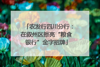 农发行四川分行：在叙州区擦亮“粮食银行”金字招牌