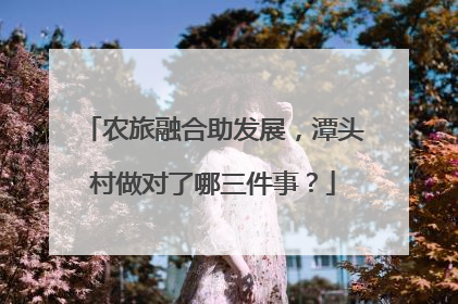 农旅融合助发展，潭头村做对了哪三件事？