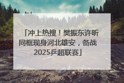 冲上热搜！樊振东许昕同框现身河北雄安，备战2025乒超联赛