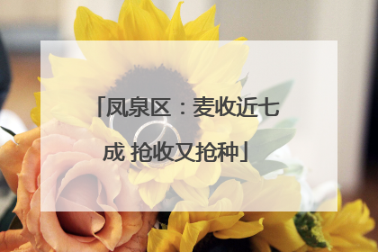 凤泉区：麦收近七成 抢收又抢种