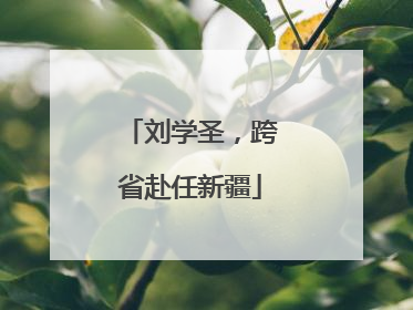 刘学圣，跨省赴任新疆