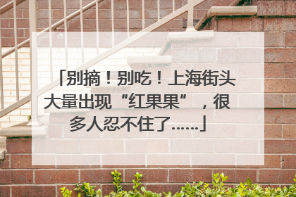 别摘！别吃！上海街头大量出现“红果果”，很多人忍不住了……