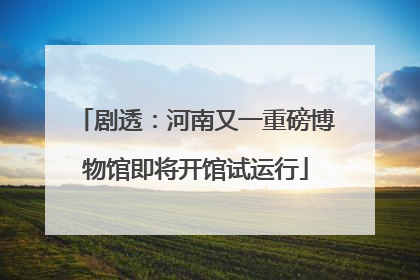 剧透：河南又一重磅博物馆即将开馆试运行