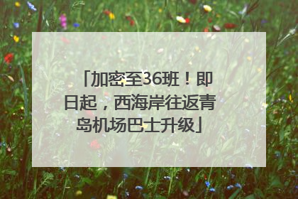 加密至36班！即日起，西海岸往返青岛机场巴士升级