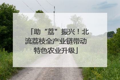 助“荔”振兴！北流荔枝全产业链带动特色农业升级