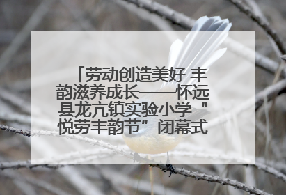 劳动创造美好 丰韵滋养成长——怀远县龙亢镇实验小学“悦劳丰韵节”闭幕式圆满举行