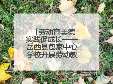 劳动育美德 实践促成长——岳西县包家中心学校开展劳动教育实践活动