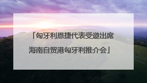 匈牙利恩捷代表受邀出席海南自贸港匈牙利推介会