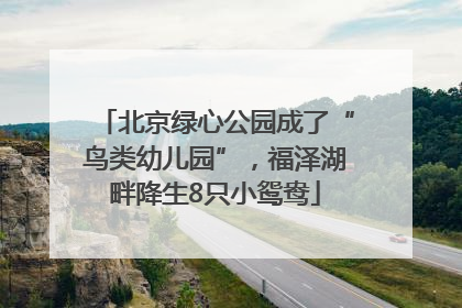 北京绿心公园成了“鸟类幼儿园”，福泽湖畔降生8只小鸳鸯
