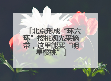 北京形成“环六环”樱桃观光采摘带，这里能买“明星樱桃”