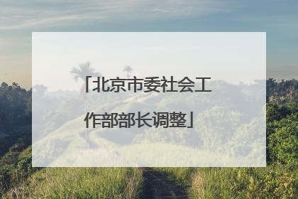 北京市委社会工作部部长调整