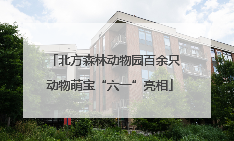 北方森林动物园百余只动物萌宝“六一”亮相