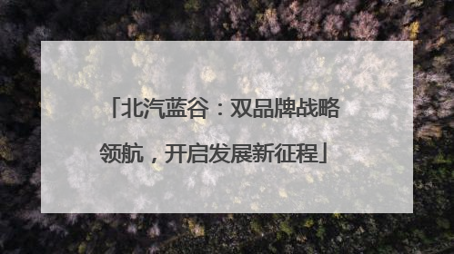北汽蓝谷：双品牌战略领航，开启发展新征程