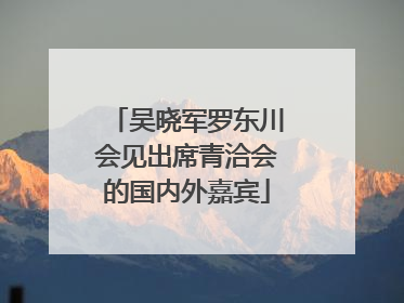 吴晓军罗东川会见出席青洽会的国内外嘉宾