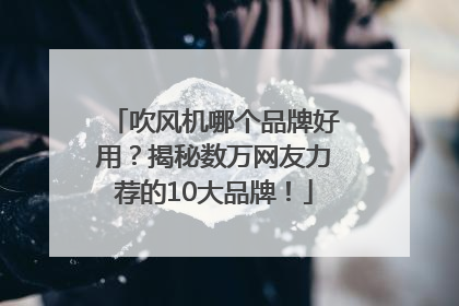 吹风机哪个品牌好用？揭秘数万网友力荐的10大品牌！