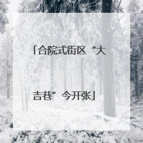 合院式街区“大吉巷”今开张