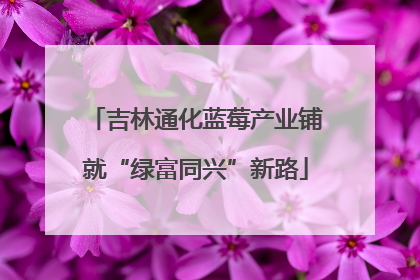 吉林通化蓝莓产业铺就“绿富同兴”新路