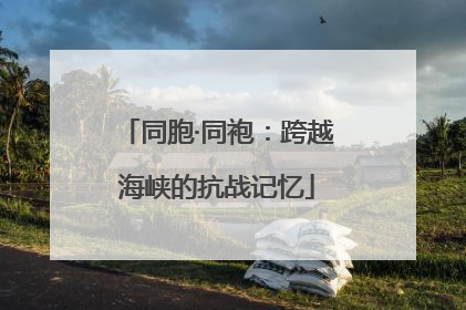 同胞·同袍：跨越海峡的抗战记忆