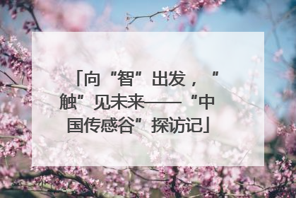 向“智”出发，“触”见未来——“中国传感谷”探访记