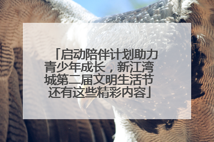 启动陪伴计划助力青少年成长，新江湾城第二届文明生活节还有这些精彩内容
