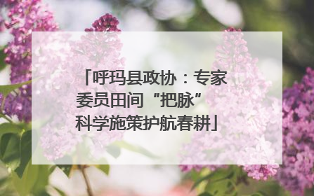 呼玛县政协：专家委员田间“把脉” 科学施策护航春耕