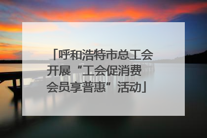 呼和浩特市总工会开展“工会促消费 会员享普惠”活动