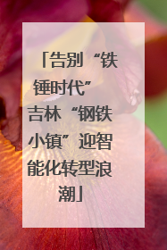 告别“铁锤时代” 吉林“钢铁小镇”迎智能化转型浪潮