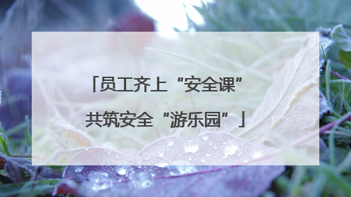 员工齐上“安全课” 共筑安全“游乐园”