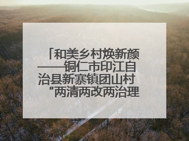 和美乡村焕新颜——铜仁市印江自治县新寨镇团山村“两清两改两治理”见闻