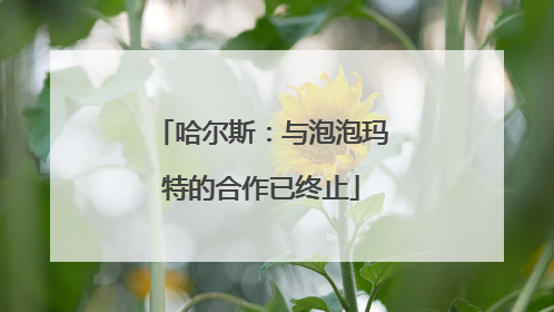 哈尔斯：与泡泡玛特的合作已终止