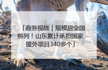 商务视线｜规模居全国前列！山东累计承担国家援外项目340多个