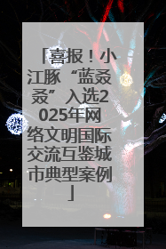 喜报！小江豚“蓝叒叒”入选2025年网络文明国际交流互鉴城市典型案例