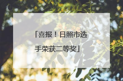 喜报！日照市选手荣获二等奖