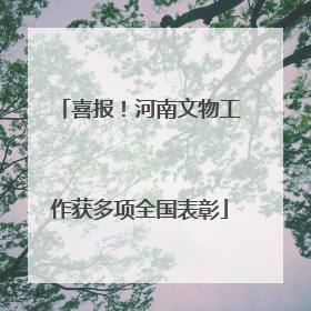 喜报！河南文物工作获多项全国表彰