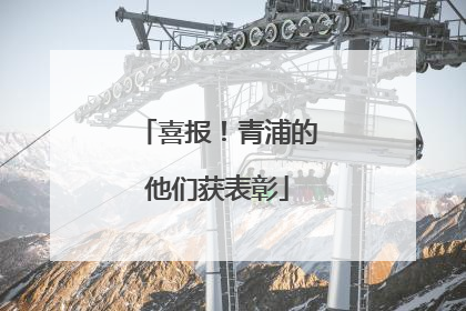 喜报！青浦的他们获表彰