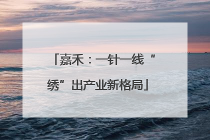 嘉禾：一针一线“绣”出产业新格局