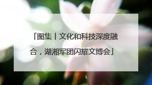 图集丨文化和科技深度融合，湖湘军团闪耀文博会