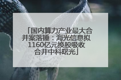 国内算力产业最大合并案落锤：海光信息拟1160亿元换股吸收合并中科曙光