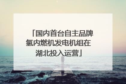 国内首台自主品牌氢内燃机发电机组在湖北投入运营